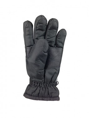 Waterproof Thinsulate Gloves