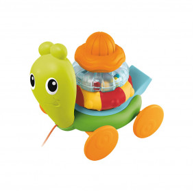 Rattling Turtle Pull Along Toy