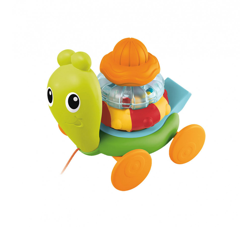 Rattling Turtle Pull Along Toy