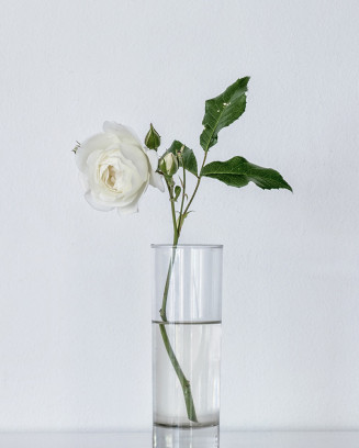 Glass Cylindrical Glass Vase