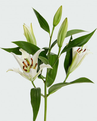 Artificial silk lily flowers