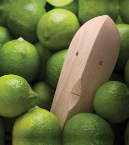 Citrus reamer made of wood for juicing manually minimalist design