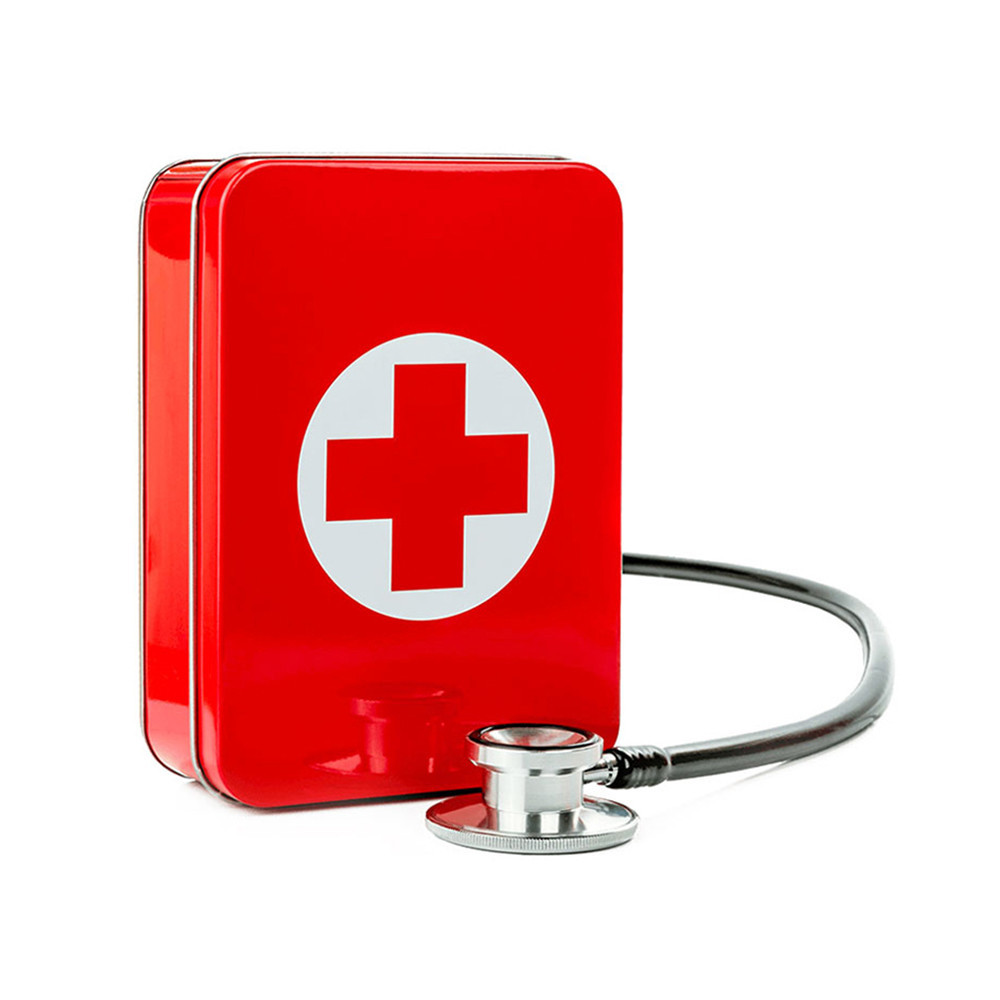 Lepose Wall mountable Metal First Aid Box
