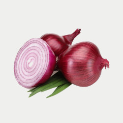 Onion hybrid seeds vegetable seeds