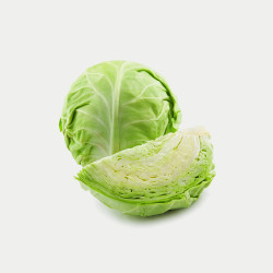 Pusa Cabbage Green Pattagobi Seed